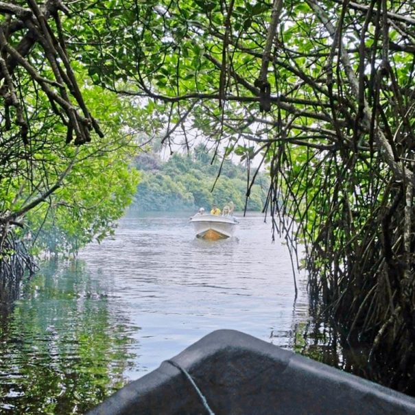 Bootssafari auf dem Madu Fluss