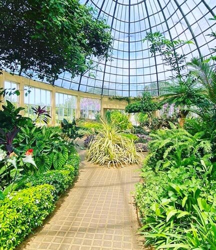 Botanischen Garten Mirijjawila 2