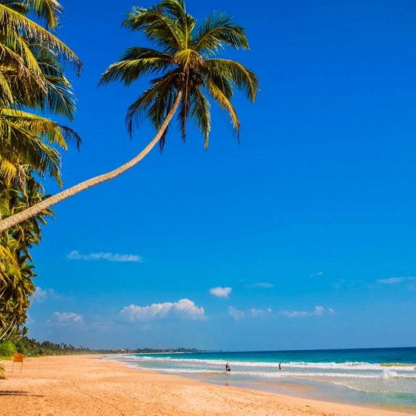 Entspannen Sie am Sandstrand von Koggala