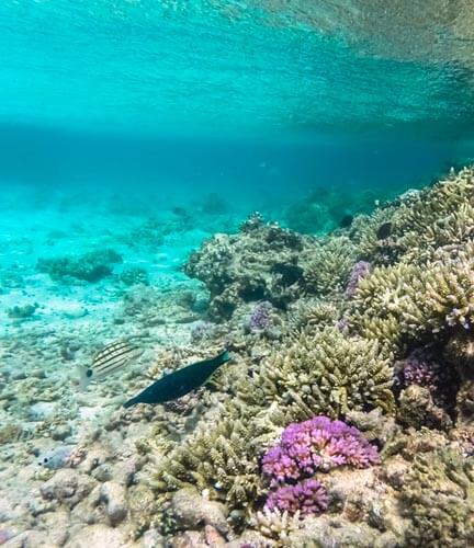 Hikkaduwa Marine National Park