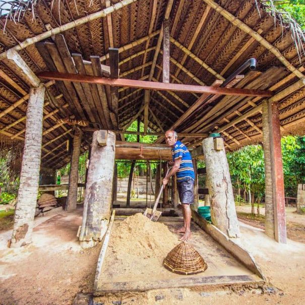 Hikkaduwa Tour ab Galle