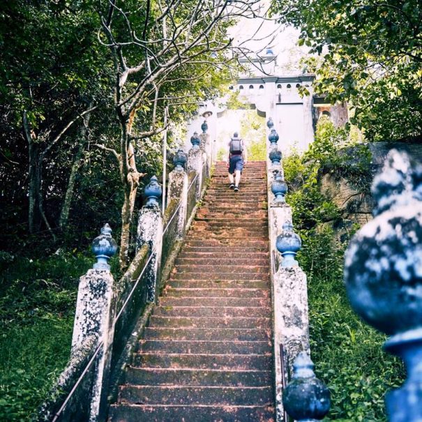 Kultur und Natur Tour