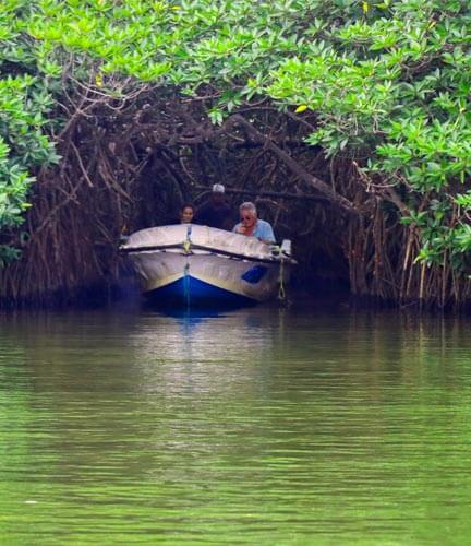Madu River Bootssafari