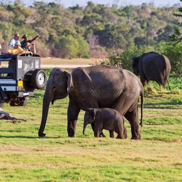 Natur und Kulturtour 2 Tage 1 Nacht