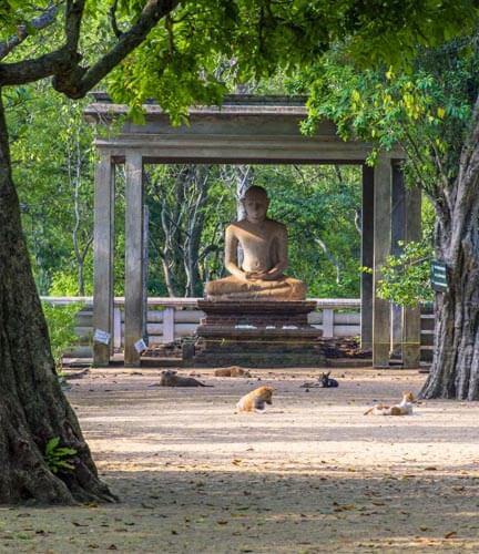 Samadhi Buddha Statue