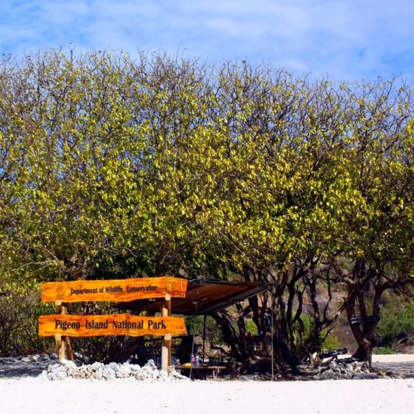 Schnorcheln Pigeon Island Marine Park