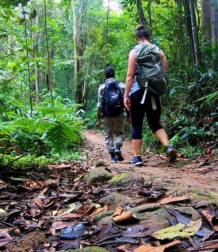 Sinharaja Trekking