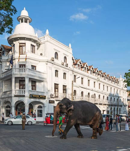 Stadtrundfahrt in Kandy