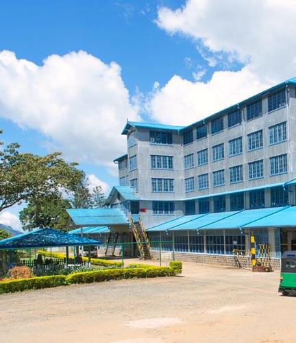 Teeplantagen und Teefabrik