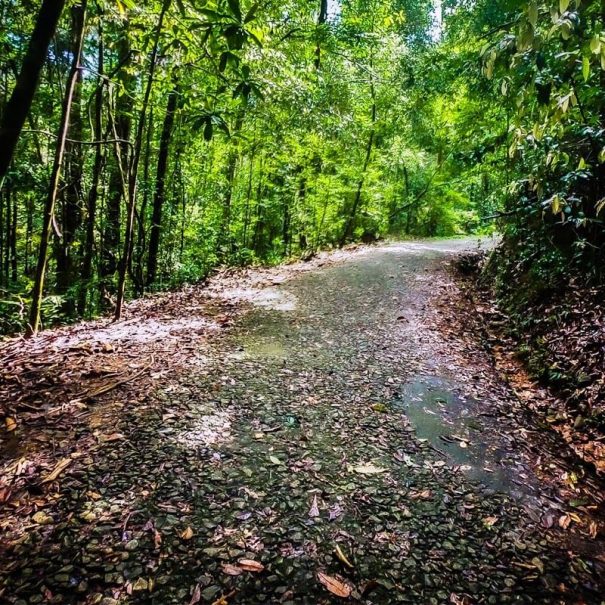 Trekkingtour in Kanneliya
