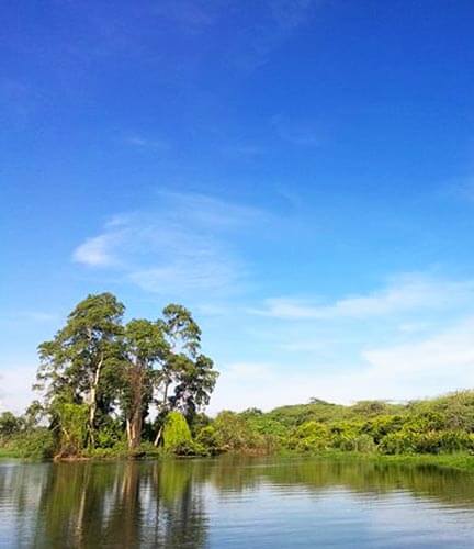 Walawe River Bootssafari